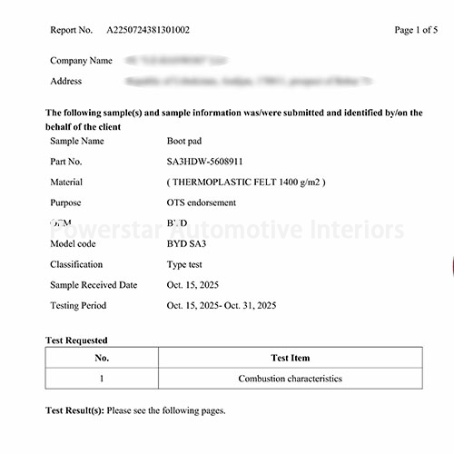 Auditing & certification-Boot pad